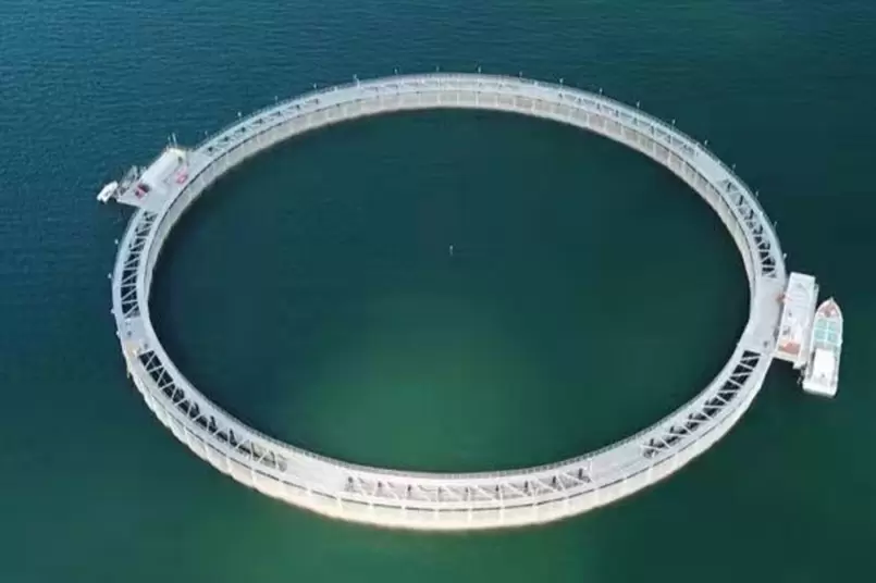 مشروع شباك صيد أسماك القرش في فندق باو نينج أورانج للصيد