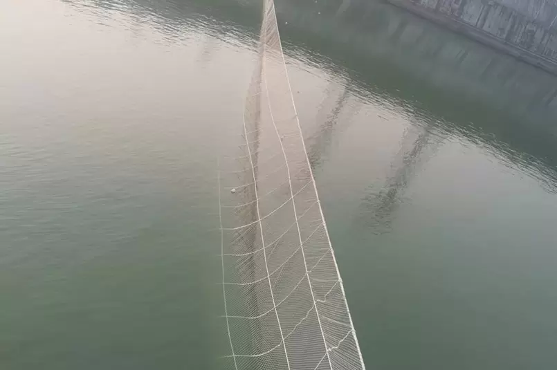 شبكة حواجز سمك الحفش الصيني بطول 255 مترًا في نهر يانغتسي